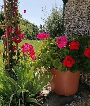 Casa Pedra & Cal Paredes de Coura