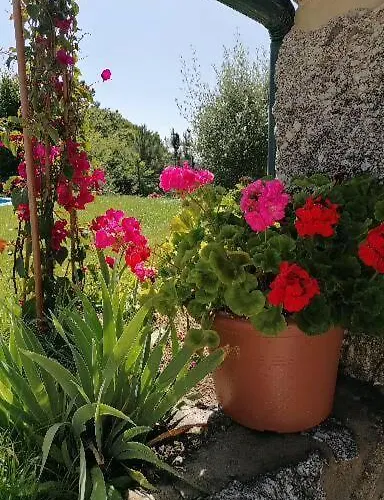 Casa Pedra & Cal パレーデス・デ・コウラ