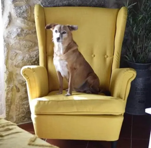 Casa Pedra & Cal Casa vacanze Paredes de Coura